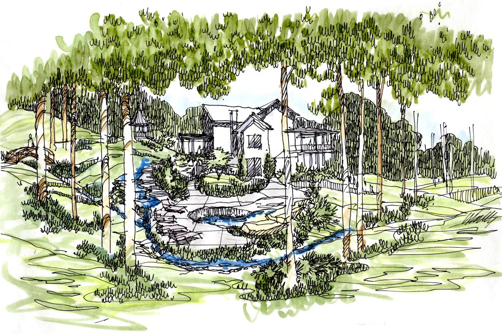Landscape Design - Action Landscape